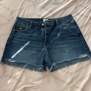 Time and Tru Dark Blue Jean Shorts